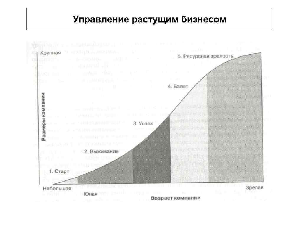 Управление растущим бизнесом 