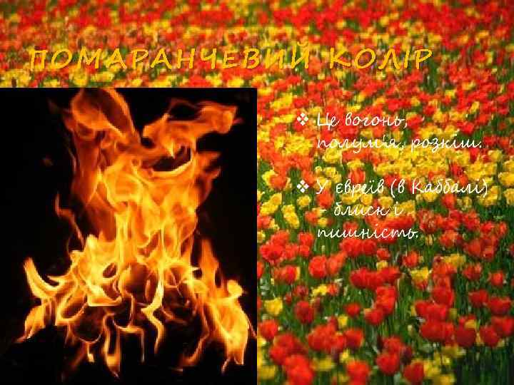 ПОМАРАНЧЕВИЙ КОЛІР 