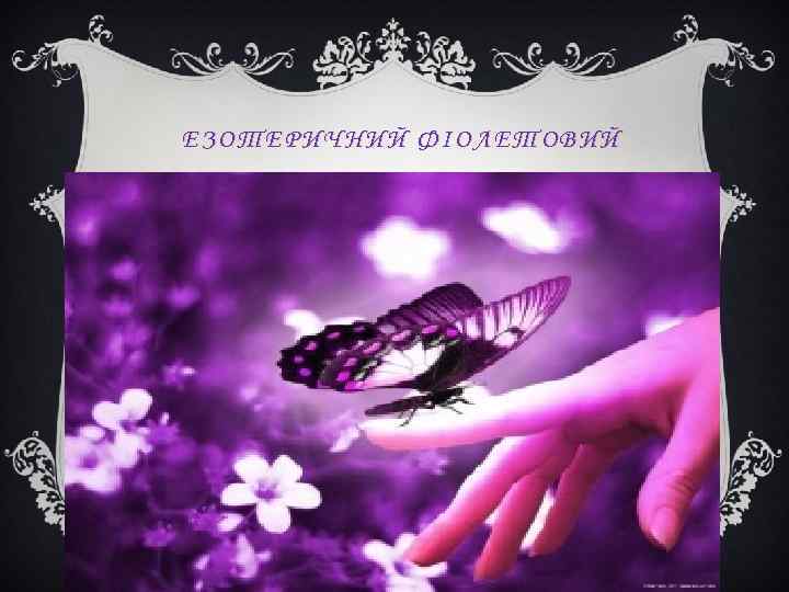 ЕЗОТЕРИЧНИЙ ФІОЛЕТОВИЙ 