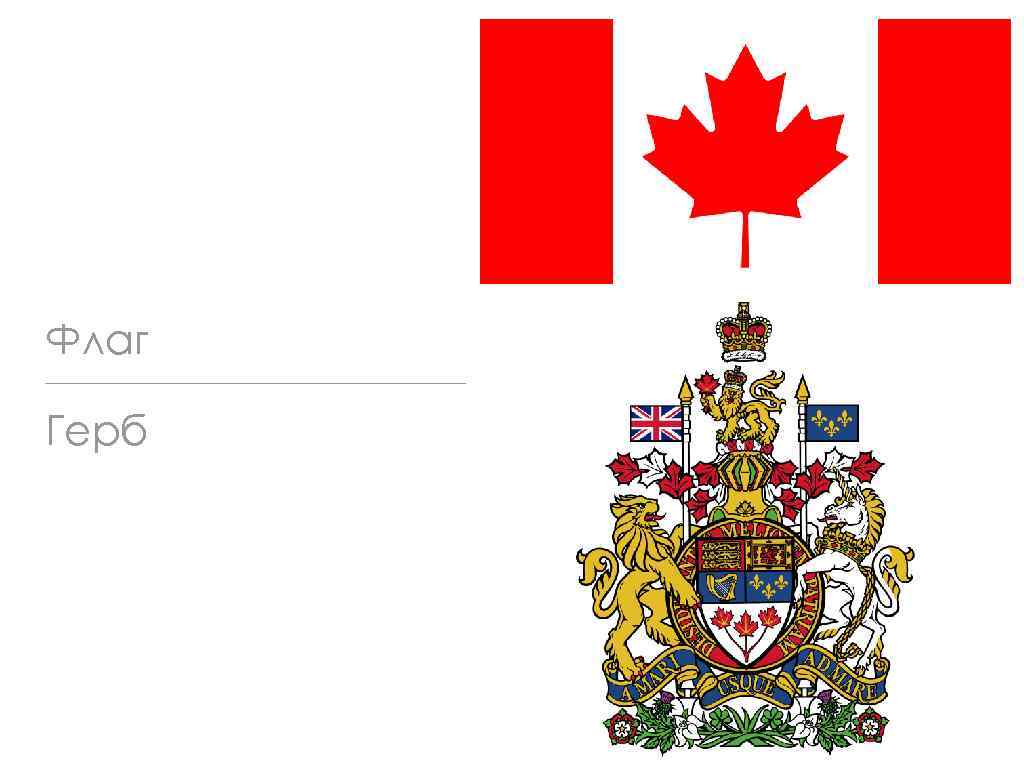 Канадский герб. Канада флаг и герб. Герб Канады Канады. Герб Канады 2023. Гос символы Канады.