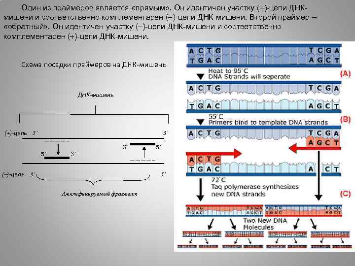 Обмен идентичными участками