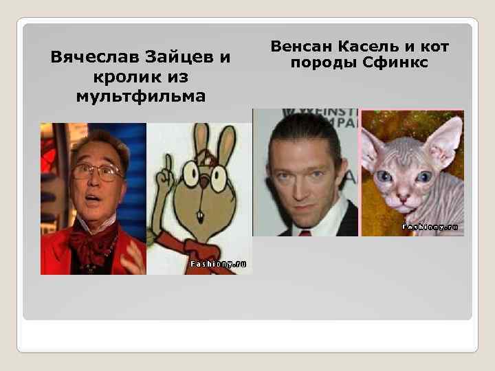 Вячеслав Зайцев и кролик из мультфильма Венсан Касель и кот породы Сфинкс 
