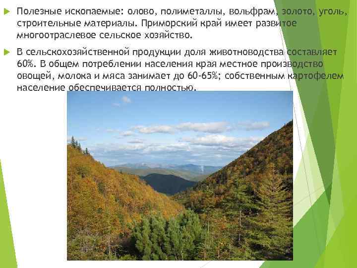 Приморские ресурсы. Полезные ископаемые Приморского края. Природные ископаемые Приморского края. Полезные ископаемые Приморья дальнего Востока. Полезные ископаемые Приморского края золото.