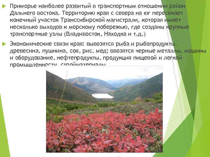 Приморье наиболее развитый в транспортным отношении район Дальнего востока. Территорию края с севера
