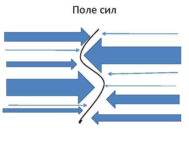 Поле сил 