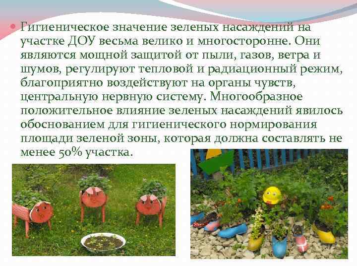  Гигиеническое значение зеленых насаждений на участке ДОУ весьма велико и многосторонне. Они являются