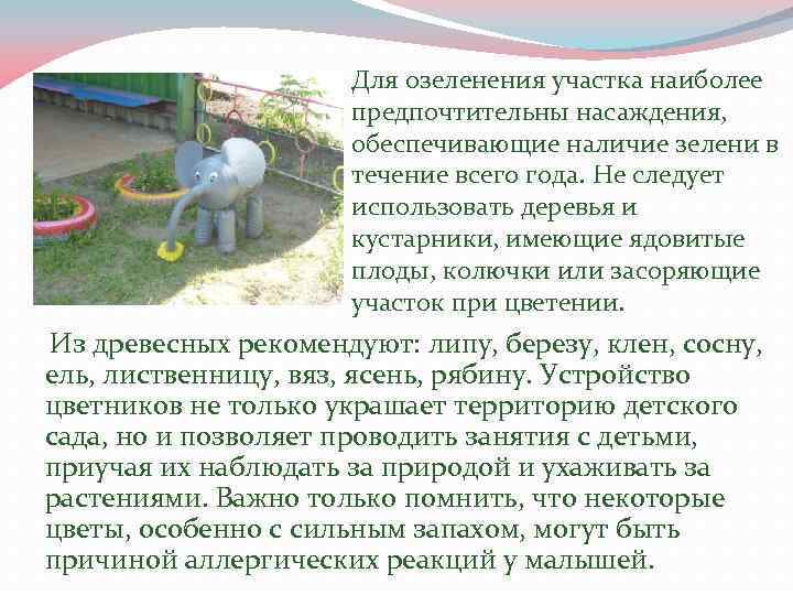 Для озеленения участка наиболее предпочтительны насаждения, обеспечивающие наличие зелени в течение всего года. Не