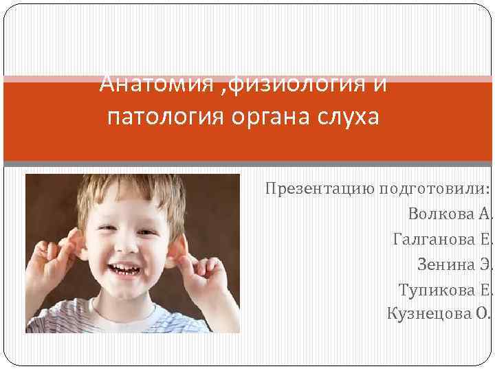 Анатомия , физиология и патология органа слуха Презентацию подготовили: Волкова А. Галганова Е. Зенина