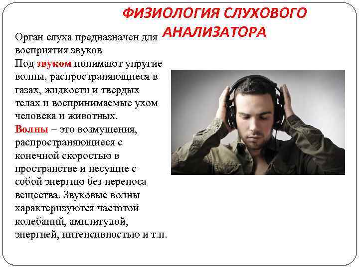 ФИЗИОЛОГИЯ СЛУХОВОГО Орган слуха предназначен для АНАЛИЗАТОРА восприятия звуков Под звуком понимают упругие волны,