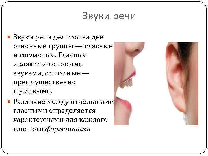Звуки речи делятся на две основные группы — гласные и согласные. Гласные являются тоновыми