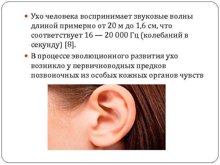 Звук частоты в ушах