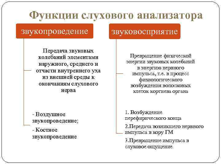 Функции слухового анализатора звукопроведение Передача звуковых колебаний элементами наружного, среднего и отчасти внутреннего уха