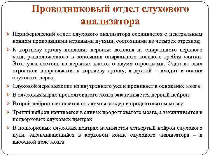 Проводниковый отдел слуховой нерв. Структура центрального слухового анализатора. Проводниковый слуховой анализатор.