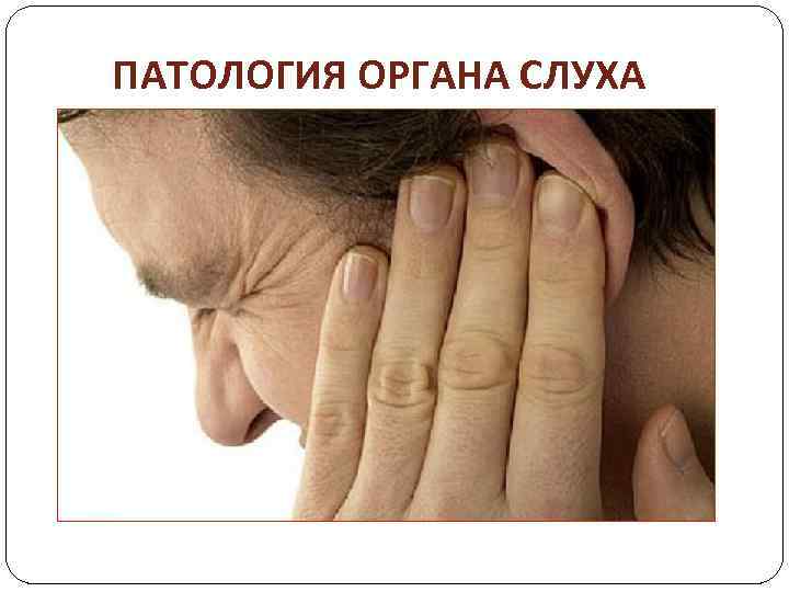 ПАТОЛОГИЯ ОРГАНА СЛУХА 