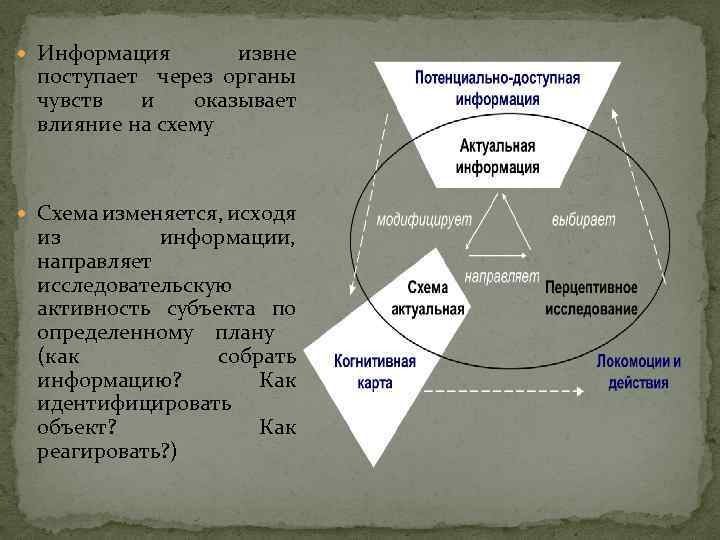  Информация извне поступает через органы чувств и оказывает влияние на схему Схема изменяется,