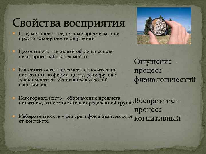 Свойства восприятия Предметность – отдельные предметы, а не просто совокупность ощущений Целостность – цельный