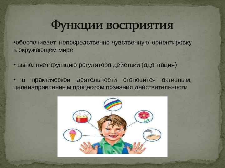 Функции восприятия • обеспечивает непосредственно-чувственную ориентировку в окружающем мире • выполняет функцию регулятора действий