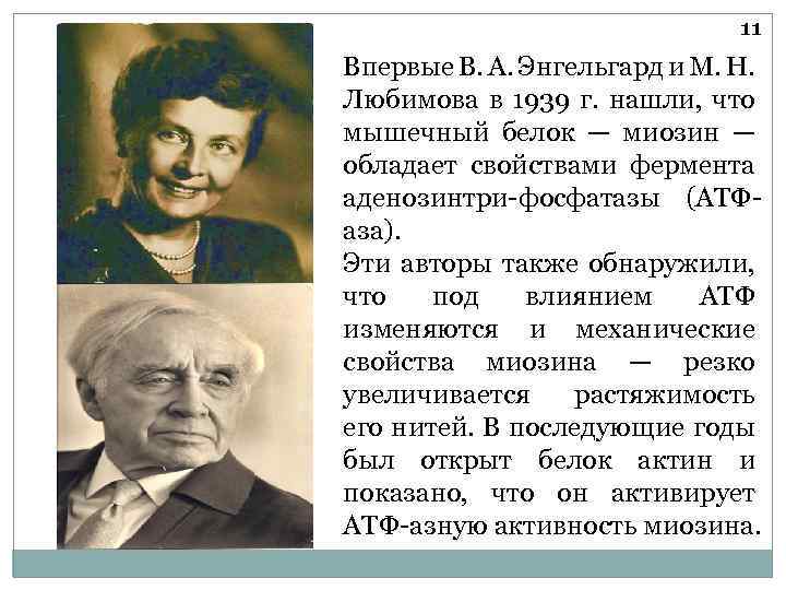 11 Впервые В. А. Энгельгард и М. Н. Любимова в 1939 г. нашли, что