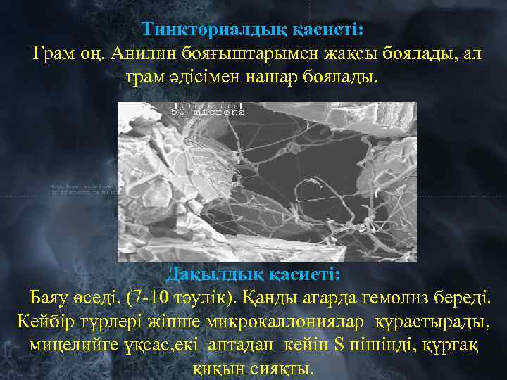 Тинкториалдық қасиеті: Грам оң. Анилин бояғыштарымен жақсы боялады, ал грам әдісімен нашар боялады. Дақылдық