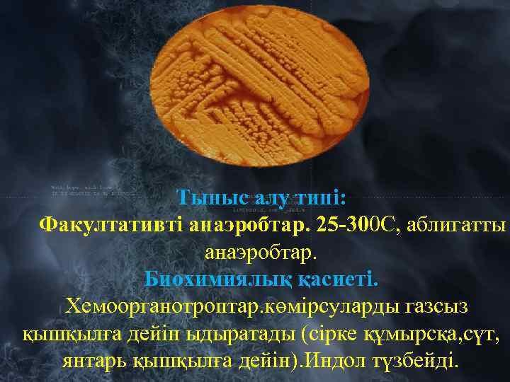 Тыныс алу типі: Факултативті анаэробтар. 25 -300 С, аблигатты анаэробтар. Биохимиялық қасиеті. Хемоорганотроптар. көмірсуларды