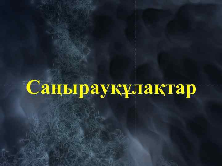 Саңырауқұлақтар 