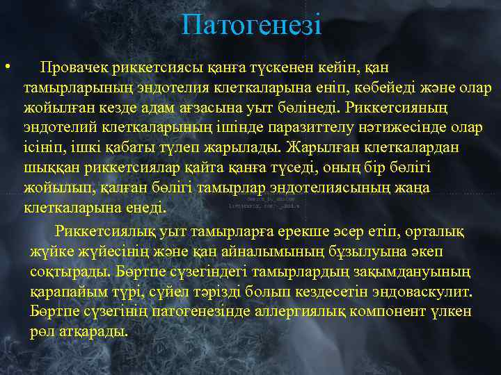 Патогенезi • Провачек риккетсиясы қанға түскенен кейiн, қан тамырларының эндотелия клеткаларына енiп, көбейедi және