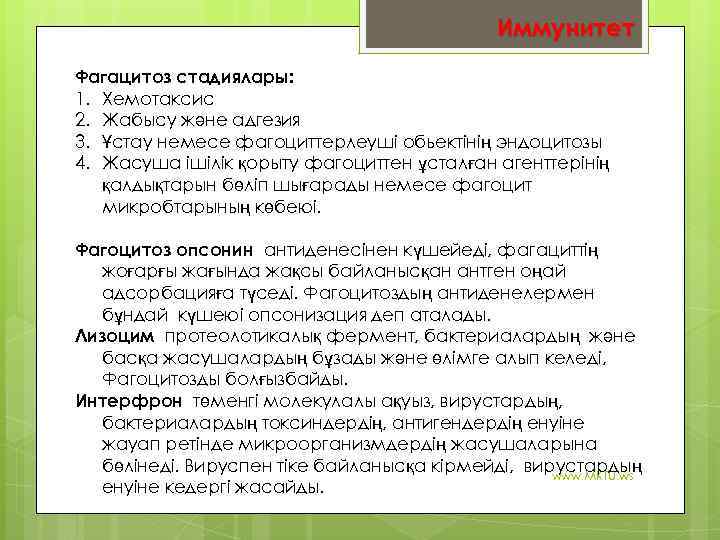 Иммунитет Фагацитоз стадиялары: 1. Хемотаксис 2. Жабысу және адгезия 3. Ұстау немесе фагоциттерлеуші обьектінің