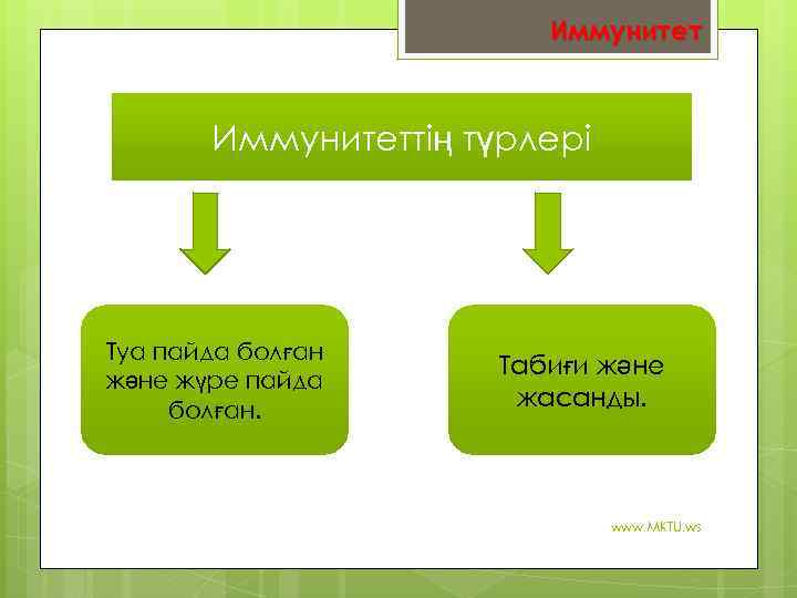 Иммунитеттің түрлері Туа пайда болған және жүре пайда болған. Табиғи және жасанды. www. MKTU.