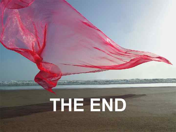 THE END 
