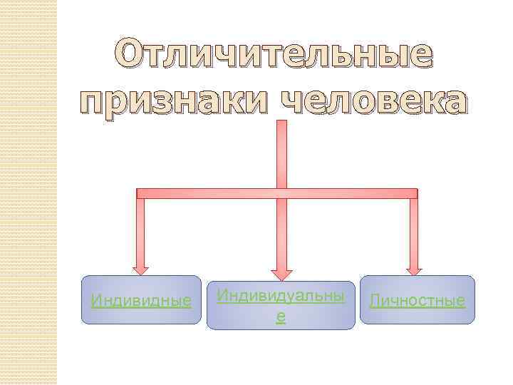 Отличительные признаки человека Индивидные Индивидуальны е Личностные 