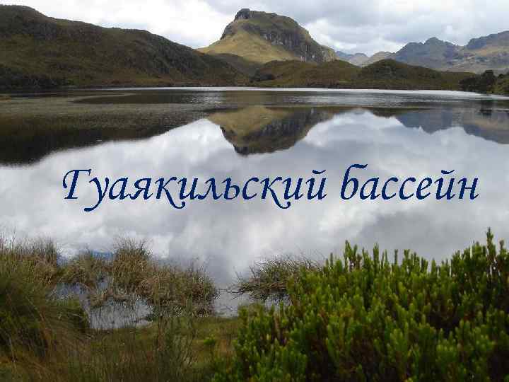 Гуаякильский бассейн 