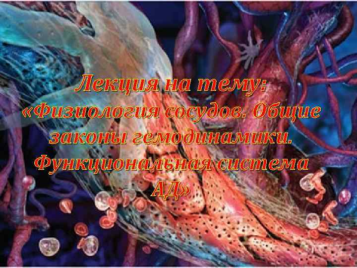 Лекция на тему: «Физиология сосудов. Общие законы гемодинамики. Функциональная система АД» 