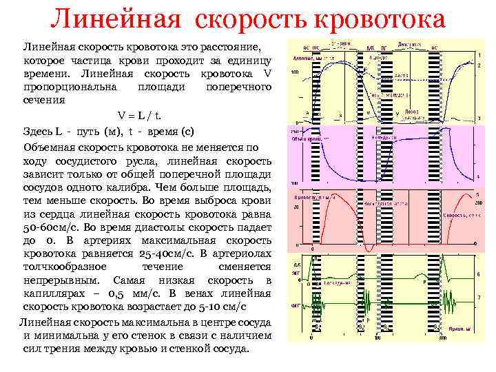 Линейная скорость кровотока равна