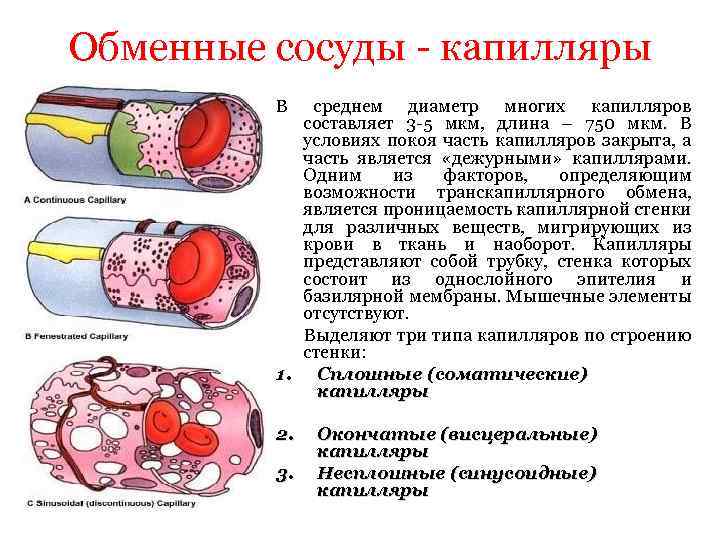 Лечение сосудов капилляров