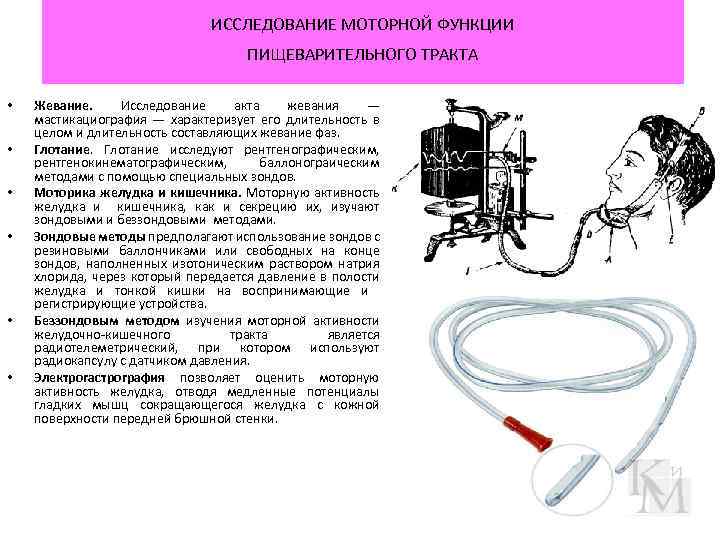 ИССЛЕДОВАНИЕ МОТОРНОЙ ФУНКЦИИ ПИЩЕВАРИТЕЛЬНОГО ТРАКТА • • • Жевание. Исследование акта жевания — мастикациография