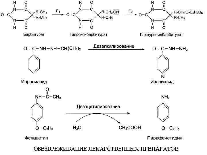ОБЕЗВРЕЖИВАНИЕ ЛЕКАРСТВЕННЫХ ПРЕПАРАТОВ 