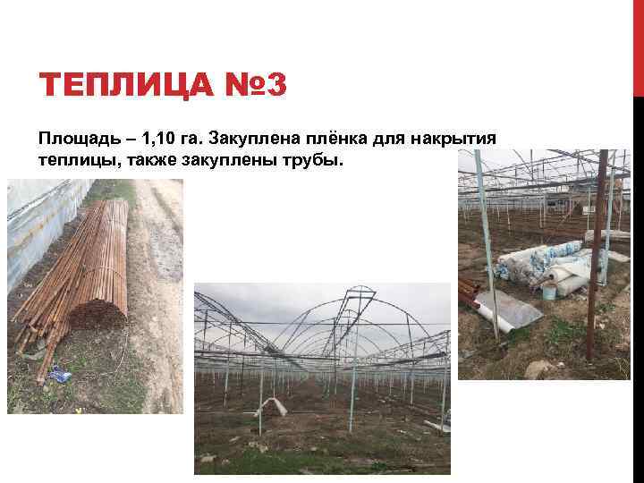 ТЕПЛИЦА № 3 Площадь – 1, 10 га. Закуплена плёнка для накрытия теплицы, также