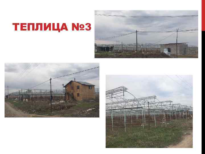 ТЕПЛИЦА № 3 