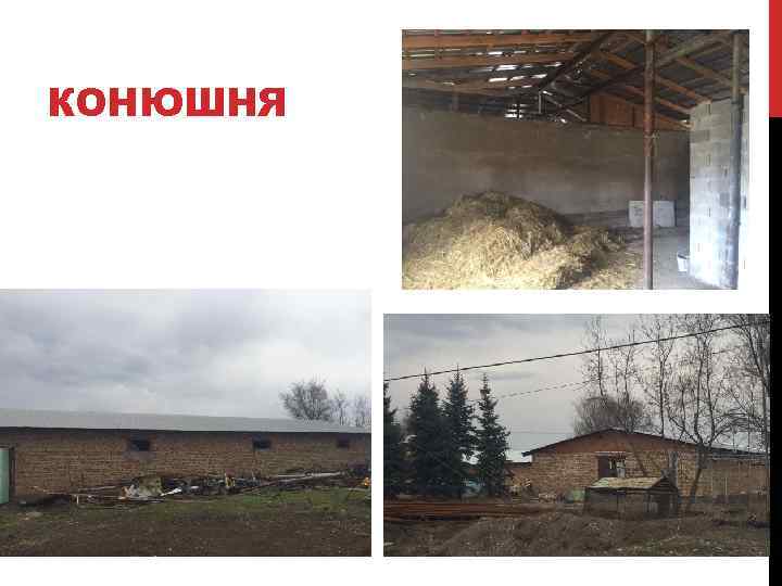 КОНЮШНЯ 