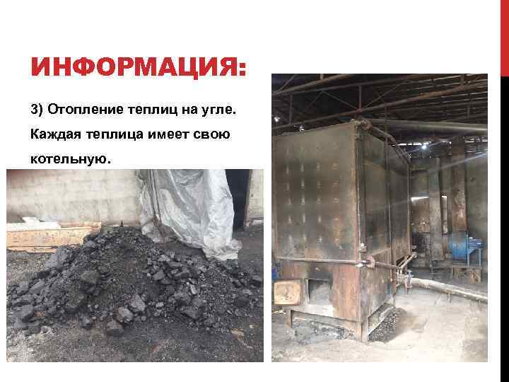 ИНФОРМАЦИЯ: 3) Отопление теплиц на угле. Каждая теплица имеет свою котельную. 