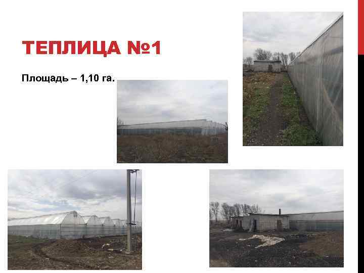 ТЕПЛИЦА № 1 Площадь – 1, 10 га. 