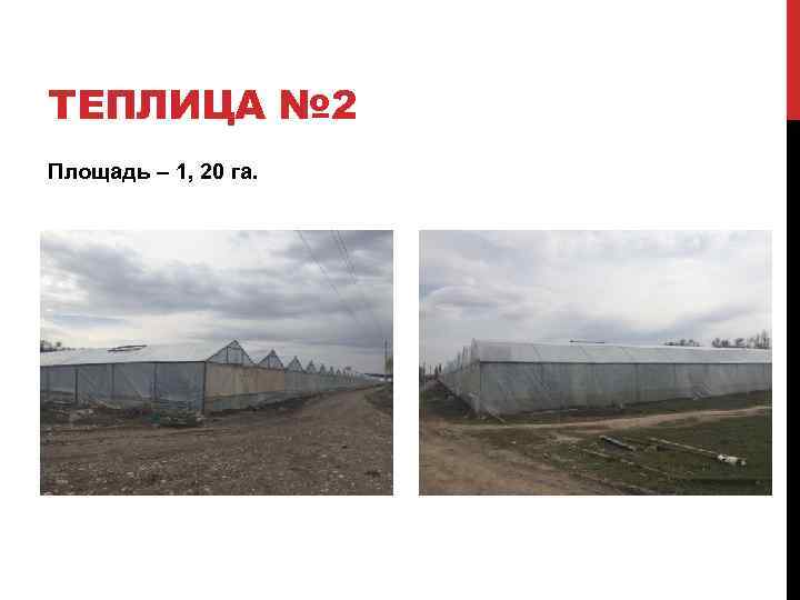 ТЕПЛИЦА № 2 Площадь – 1, 20 га. 