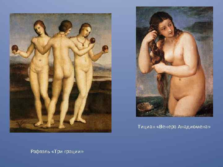 Тициан «Венера Анадиомена» Рафаэль «Три грации» 