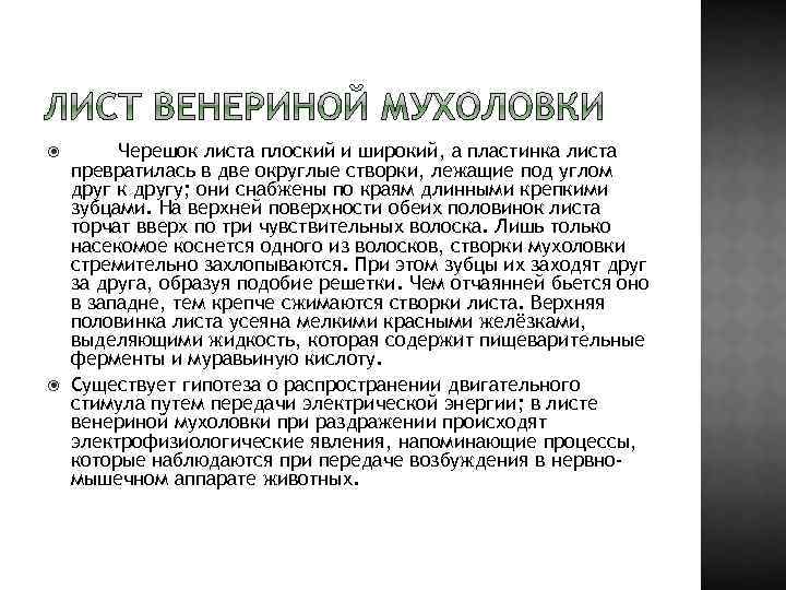  Черешок листа плоский и широкий, а пластинка листа превратилась в две округлые створки,