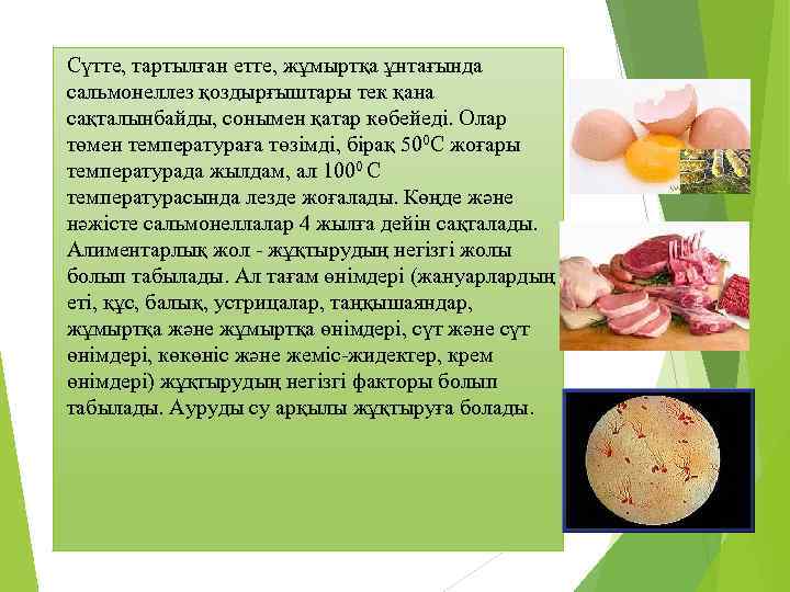 Сүтте, тартылған етте, жұмыртқа ұнтағында сальмонеллез қоздырғыштары тек қана сақталынбайды, сонымен қатар көбейеді. Олар