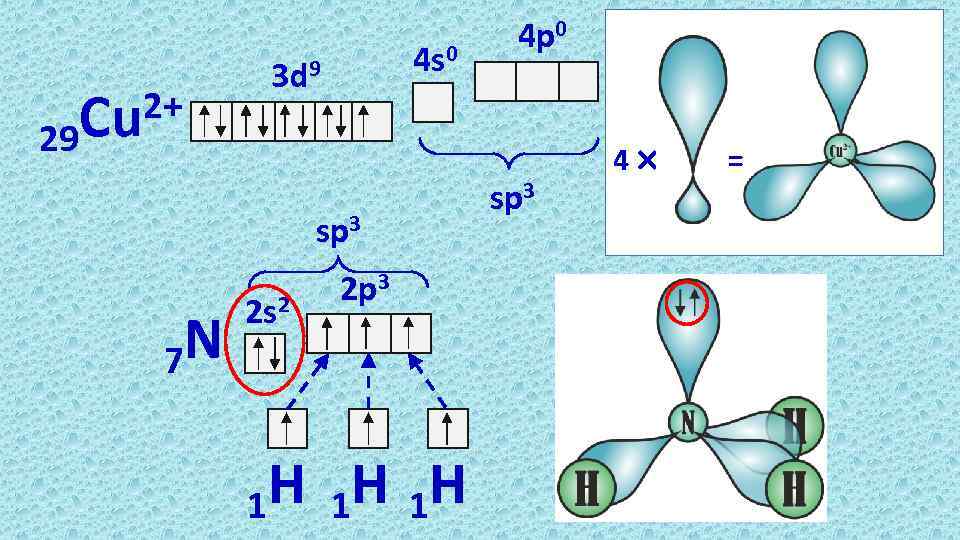 29 2+ Cu 4 s 0 3 d 9 sp 3 N 7 2
