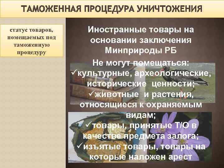 Схема таможенной процедуры уничтожения