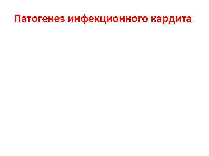 Патогенез инфекционного кардита 