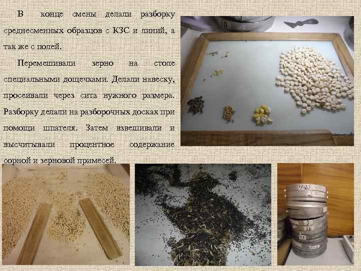 В конце смены делали разборку среднесменных образцов с КЗС и линий, а так же