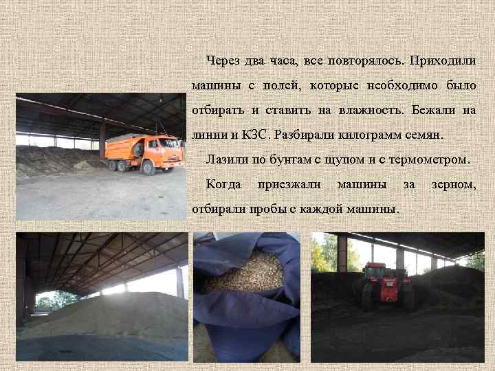Через два часа, все повторялось. Приходили машины с полей, которые необходимо было отбирать и